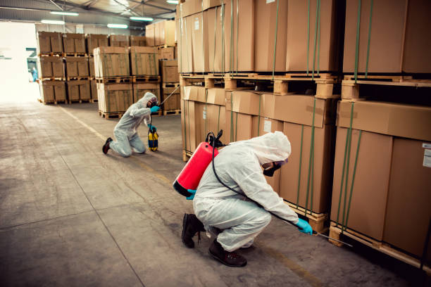 Best Affordable Pest Control Services  in Tazewell, VA