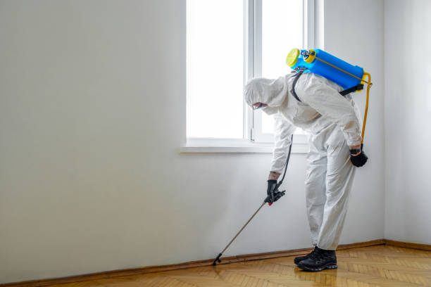 Best Wasp Removal Services  in Tazewell, VA