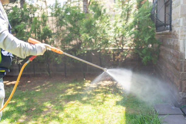 Best Pest Removal Services  in Tazewell, VA