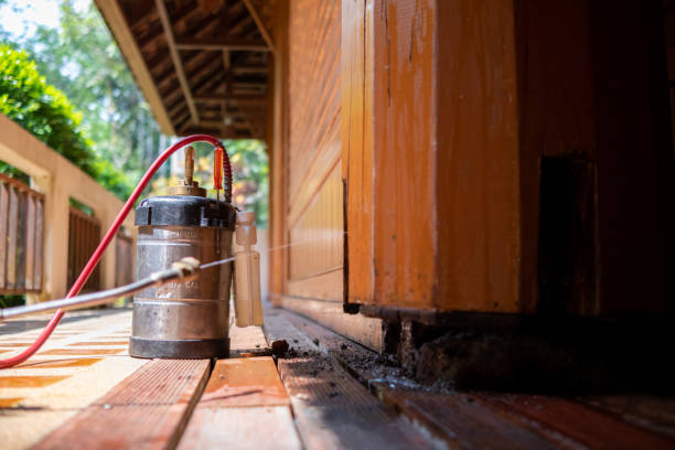 Best Wasp Removal Services  in Tazewell, VA