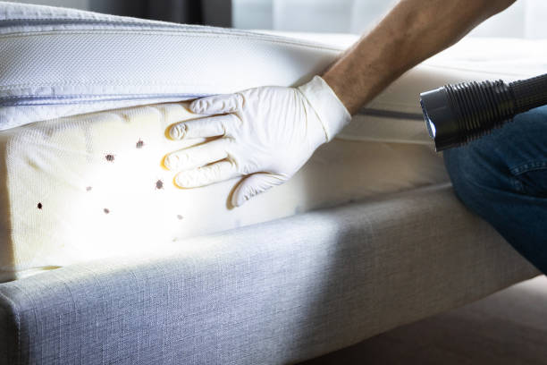 Best Emergency Pest Control  in Tazewell, VA