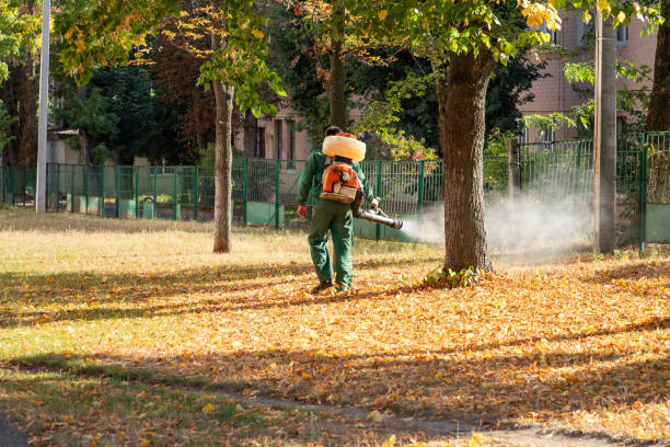 Best Rodent Control Near Me  in Tazewell, VA