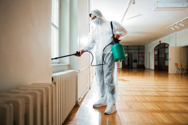 Best Insect Control  in Tazewell, VA