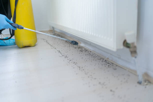 Best Residential Pest Control  in Tazewell, VA