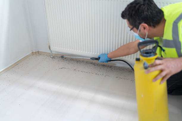 Best Pest Prevention Services  in Tazewell, VA